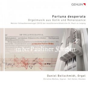 Download track Praeambulum Super D A F Et G Veit Heller, Daniel Beilschmidt, Christine Mothes