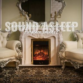 Download track Calming Winter Presidential Suite Fireplace Sounds, Pt. 16 Elijah Wagner