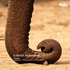 Download track Trunk (Bubbaloop Remix) Gabriel Almendros