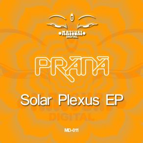 Download track Solar Plexus Funky Gong Remix Prana