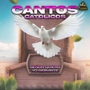 Download track Sube Hasta El Cielo Y Lo Veras Cantos Catolicos