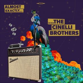 Download track Nobody's Fool The Cinelli Brothers