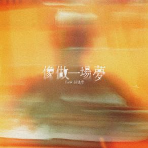 Download track 像做一場夢 (伴奏) TANK 呂建忠