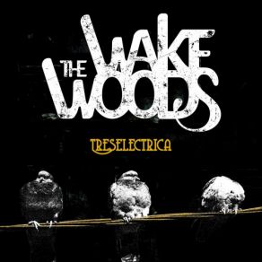 Download track Paycheck The Wake Woods