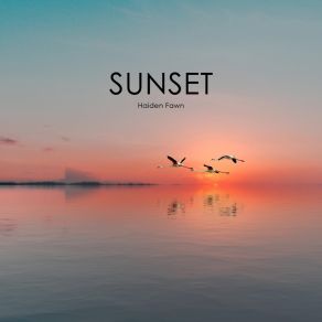 Download track Sunset Haiden Fawn