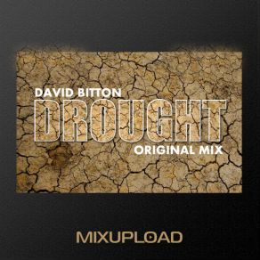 Download track The Judgment David Bitton