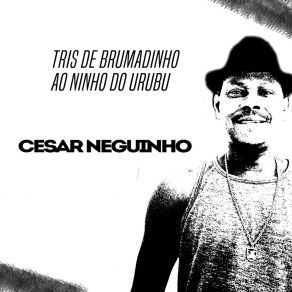 Download track Simplismente Assim Fernanda Montenegro Cesar Neguinho