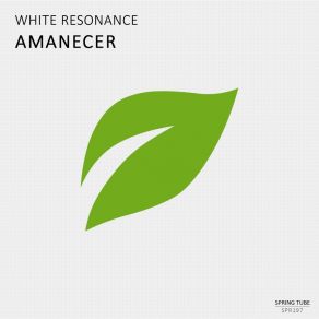 Download track It's All You Get White Resonance