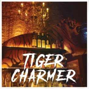 Download track Good Doctor Tiger Charmer