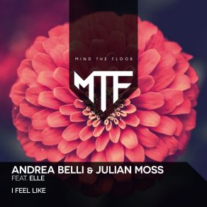 Download track I Feel Like (Extended Mix) Elle