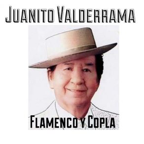 Download track Llanto De Sacromonte Juan Valderrama