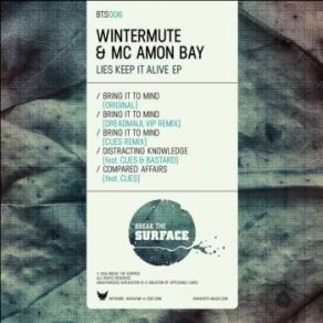 Download track Bring It To Mind (Dreadmaul VIP Remix) Wintermute, MC Amon Bay