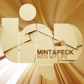 Download track Into My Life (Club Mix) The Mint