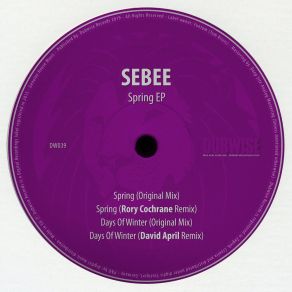 Download track Days Of Winter (David April Remix) SebeeDavid April