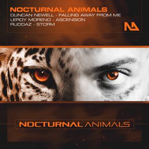 Download track Storm (Extended Mix) Duncan Newell, Ruddaz, Leroy Moreno