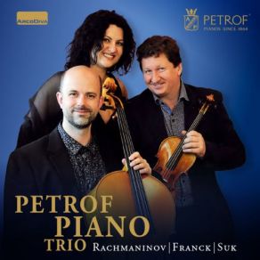 Download track Trio Élégiaque No. 1 In G Minor Petrof Trio