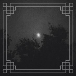 Download track Occultation Alder Glade