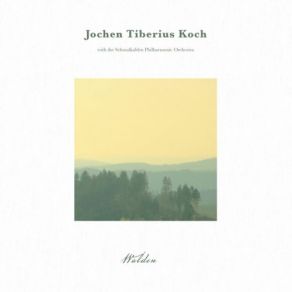 Download track Former Inhabitants; And Winter Visitors Jochen Tiberius Koch