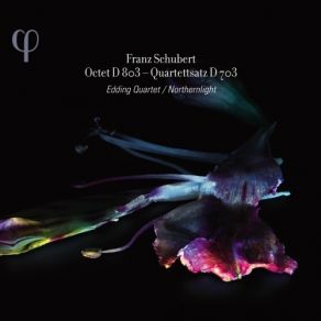 Download track 7. Quartettsatz In C Minor Allegro D. 703 Franz Schubert