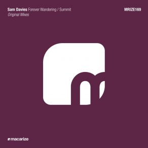 Download track Forever Wandering (Original Mix) Sam Davies