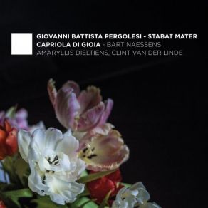 Download track Stabat Mater, P. 77: IX. Sancta Mater, Istud Agas Amaryllis Dieltiens, Bart Naessens, Capriola Di Gioia, Clint Van Der Linden