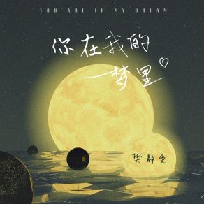 Download track 你在我的梦里 (伴奏) 樊静雯