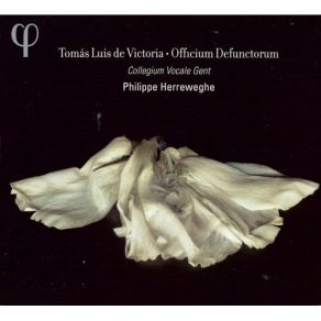 Download track Salve Regina Tomás Luis De Victoria