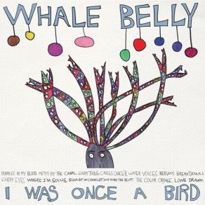 Download track Bubbles In My Blood Whale Belly