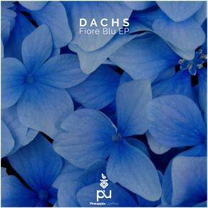 Download track Fiore Blu Dachs