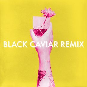 Download track One Drink (Black Caviar Remix) Picture This