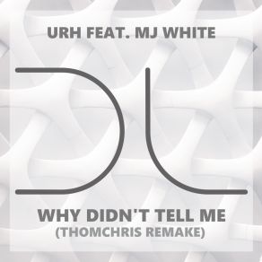 Download track Why Didn't Tell Me (Instumental) Mj White