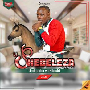 Download track Ubhopopo OneData ShebelezaThuthani Ndlovu