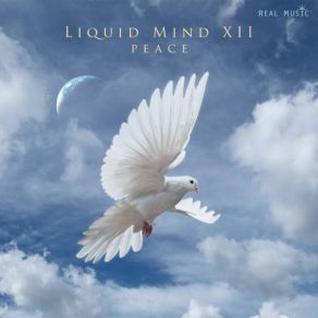 Download track Trust Liquid Mind