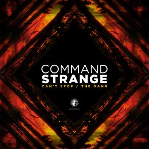 Download track The Gang (Original Mix) Command Strange