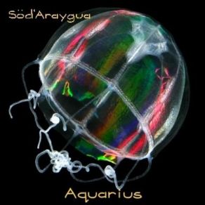 Download track Conscincia Venussiana Söd'Araygua