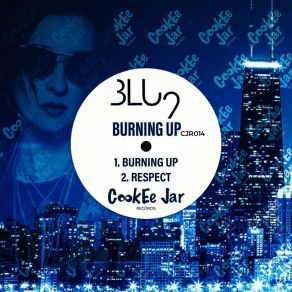 Download track Burning Up (Original Mix) Blu 9