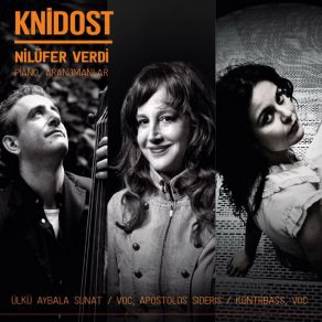 Download track Üsküdar A Gider İken Nilüfer Verdi