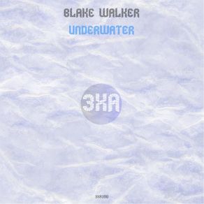 Download track Spacial Blake Walker MTL