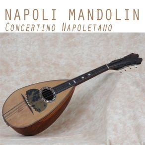 Download track Suspiranno 'na Canzone Concertino Napoletano