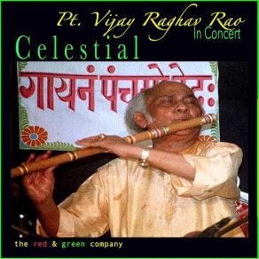 Download track Puriya: Exposition In Three Movements (Live) Pt. Vijay Raghav Rao