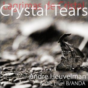 Download track Arioso - Cantata Bwv 156 B - Live, ANDA, André Heuvelman