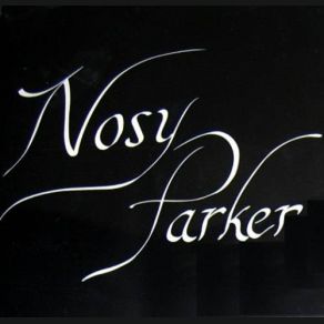 Download track Silver Wings Nosy Parker