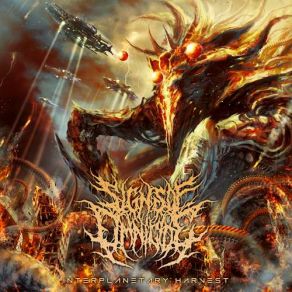 Download track Nova Satus Signs Of Omnicide