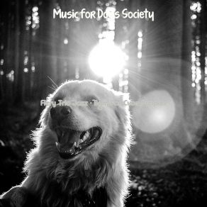 Download track Smoky Jazz Guitar Trio - Vibe For Separation Anxiety Music For Dogs Society