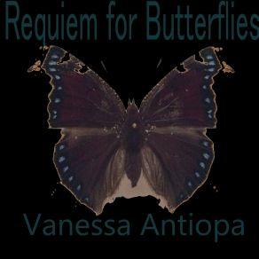 Download track Lepidoptera Vanessa Antiopa