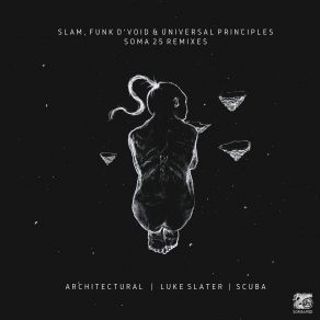 Download track Visual Capture (Luke Slater Remix) The Slam