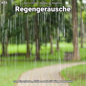 Download track Regengeräusche, Pt. 34 Naturgeräusche