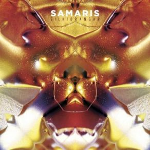 Download track Vögguljóð Samaris