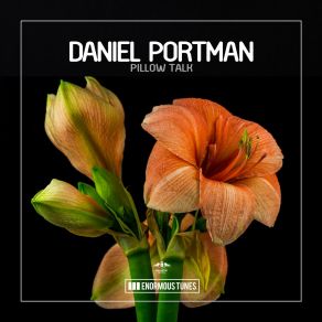 Download track Pillow Talk (Original Club Mix) Daniel Portman