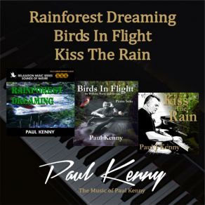 Download track Birds In Flight (Piano Solo) Paul Kenny